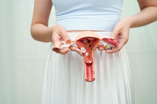 Uterus, Asian woman holding human anatomy model. photo