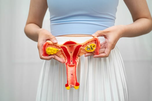 Asian woman holding human uterus anatomy model. photo