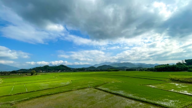 Verdant rice fields stretch under cloud spotted skies, echoing tranquility, invoking Tsukimi moon viewing and Obon ancestral festivities photo