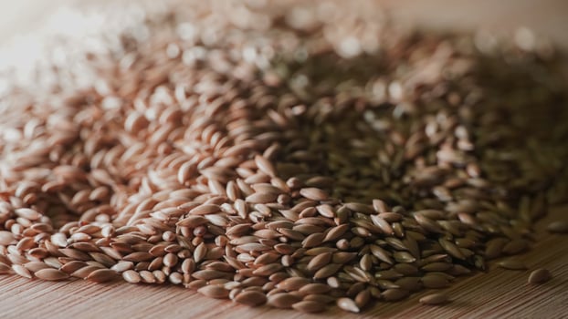 a pile of birdseed on a wooden table photo