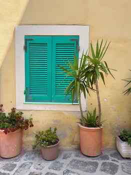 Green Shuttered Window with Potted Plants photo