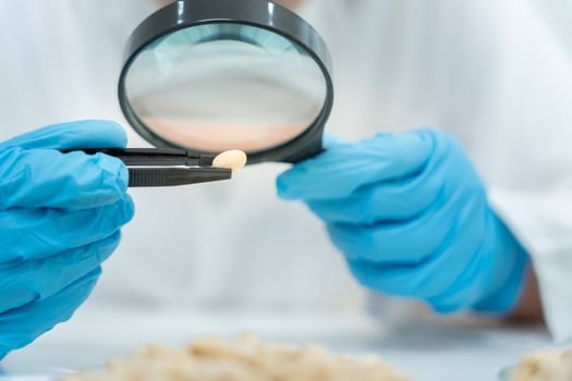 Scientist use magnifying glass to check physical occur from chemical on fruit and whole grains residues in laboratory. inspect the concentration of chemical residues, standard, find prohibited. photo