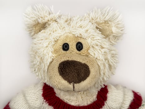 A stuffed teddy bear with a red and white striped sweater on a white background, flay lay photo