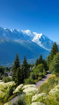 Mont Blanc mountain landscape in summer photo