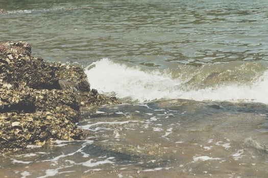 A person on a surfboard riding a wave in the ocean photo