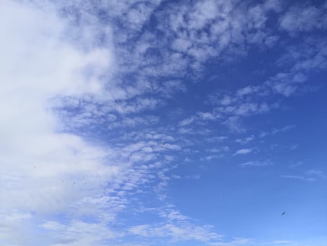 A man is flying a kite on a beach photo