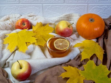 Autumn still life. A cup of tea with lemon, apples, pumpkin and yellow maple leaves on a soft knitted fabric. Autumn mood, comfort photo