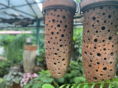 Two wooden pots with holes on them hanging from a tree photo