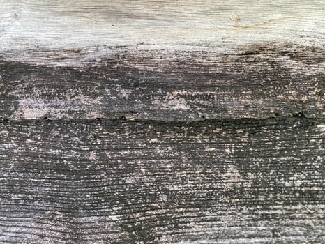 A close up of a wood plank with a crack photo