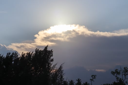 sky with sun covered by clouds, trees in silhouette photo