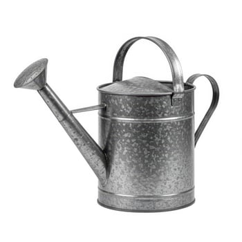 Classic galvanized metal watering can with sprinkler head and curved handle photo