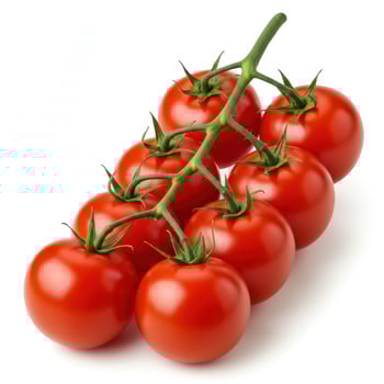 Fresh ripe red tomatoes on the vine photo