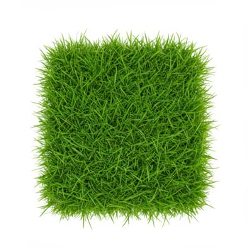A vibrant square patch of lush green grass isolated on a pure white background photo