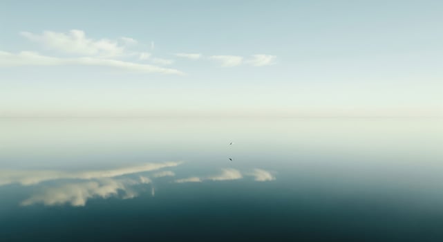 A lone bird is flying in the sky above a calm body of water photo