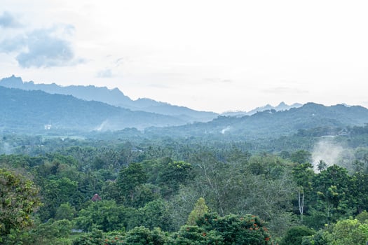 Scenic Misty Morning View of Tropical Rainforest with Mountain Backdrop photo