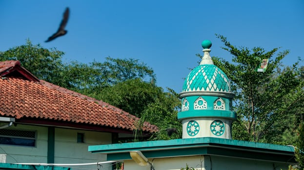 Building Dome with Bird Flying Under Blue Sky photo