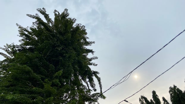 Jakarta City View Featuring Trees, Blue Sky, and Overhead Wires photo