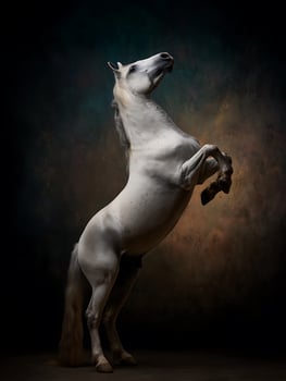 Majestic White Horse Rearing Up Against a Dramatic Dark Background. A stunning image of equine power and grace. photo