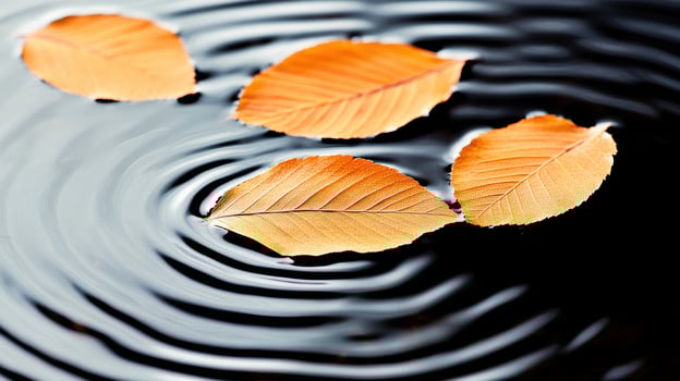 Autumn leaves float on dark water. Circular ripples spread. Golden foliage rests quietly. Serene nature scene. Minimalist composition. photo