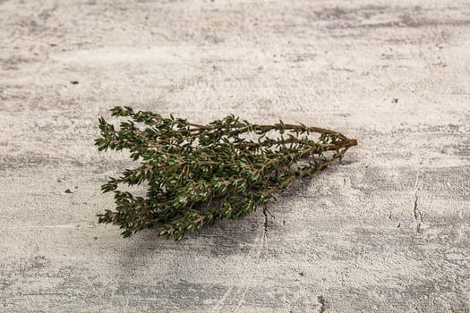A piece of green plant on a table photo