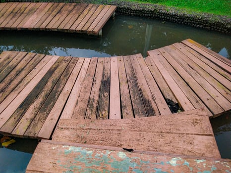 Walking on Wooden Path Over Water in a Garden or Park photo