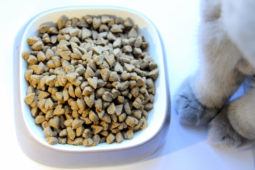 Dry food for cats or dogs in the form of small heart-shaped granules. photo