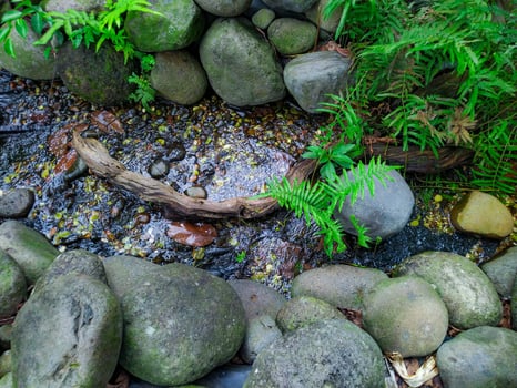A stream of water flows through a rock garden photo