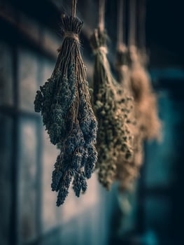 Dried Herb Bundles Hanging in Rustic Setting Close Up of Lavender and Other Herbs. photo