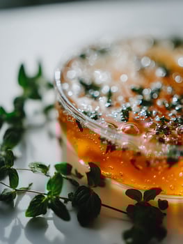 Close up of Sparkling Herbal Infusion with Fresh Mint Leaves. photo