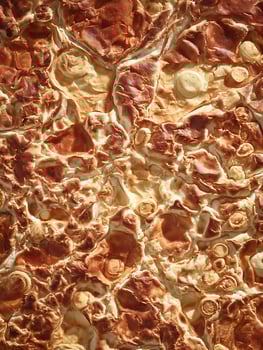 Close Up of Baked Pastry with Golden Brown Texture and Airy Puffs. A Detailed Image Showing the Rich Color and Texture of a Delicious Dessert. photo