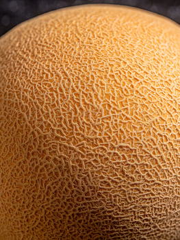 Close Up of Cantaloupe Rind Texture, Detailed Macro Photography of a Melon's Surface. photo
