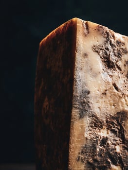 Close Up of Artisan Cheese with Rind, Gourmet Food Photography. photo