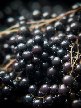 Close Up of Dark Berries with Water Droplets, Shiny and Jewel-toned. photo