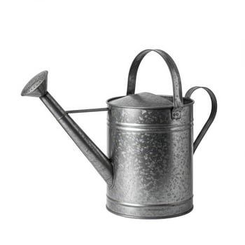 Classic galvanized metal watering can with spout and handle photo