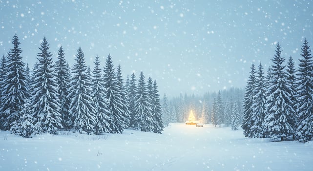 Winter landscape with a campfire in the middle of a snowy forest photo