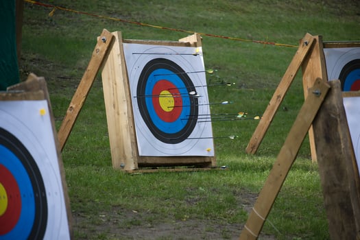 Colorful Archery Targets with Arrows Outdoors in a Grassy Area photo