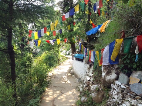 Circumambulation path with colorful buddhist prayer flags around the Dalai Lama Temple in McLeod Ganj, Dharamsala, India. photo
