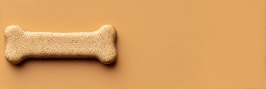 Centered Pet Treat on Minimalist Background, Perfect for Advertising or Social Media Posts About Dog Snacks, Healthy Treats, or Pet Care photo