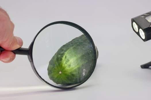 Exploring the details of a fresh cucumber under magnification and light in a bright workspace photo