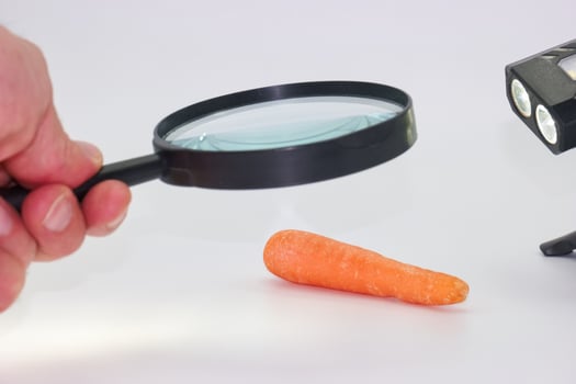 Examining a carrot with a magnifying glass on a white background in a well lit environment photo