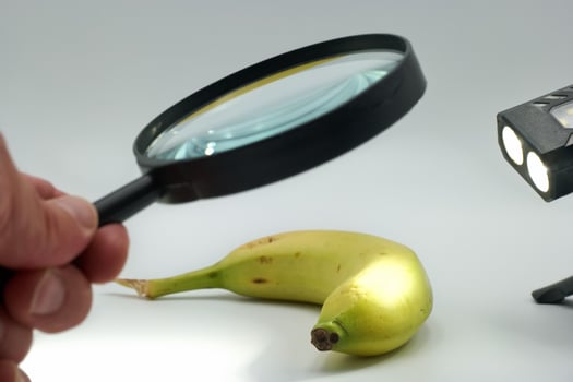 Exploring the details of a banana with a magnifying glass in a well lit setting photo