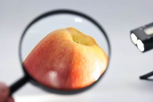 Close up view of a red apple through a magnifying glass on a clean white background photo