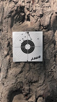 Shooting target on tree trunk with bullet holes. Outdoor shooting range with paper target for airgun practice. Rustic texture background. Close-up view for sport and accuracy themes. photo