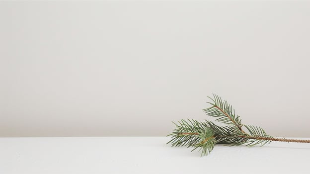 Green fir branches and pine cones create a festive Christmas border decoration for the winter holiday season photo
