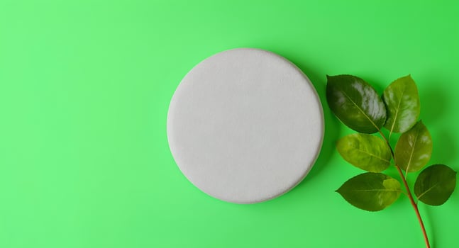 A white oval with a leaf on a green background photo
