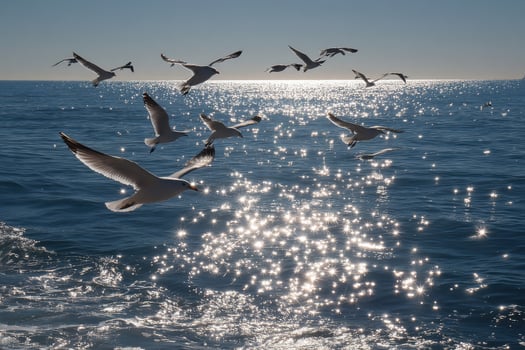 A flock of birds flying over the ocean photo