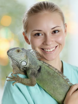 Smiling Vet Assistant Interacts With Iguana While Providing Care in a Cheerful Environment photo