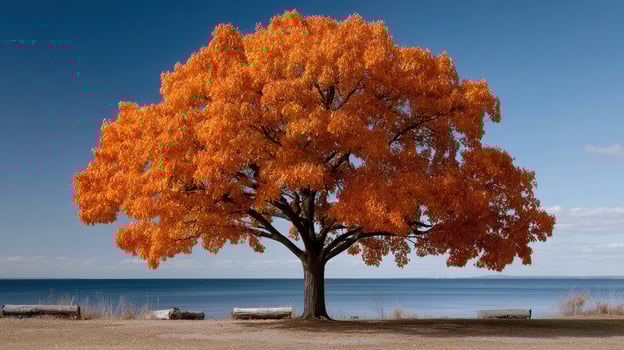 A tree with orange leaves is standing in front of the ocean photo