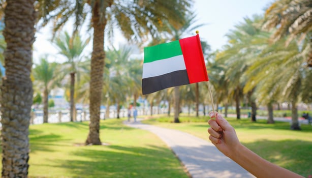 female hand holding tiny flag of UAE in park photo