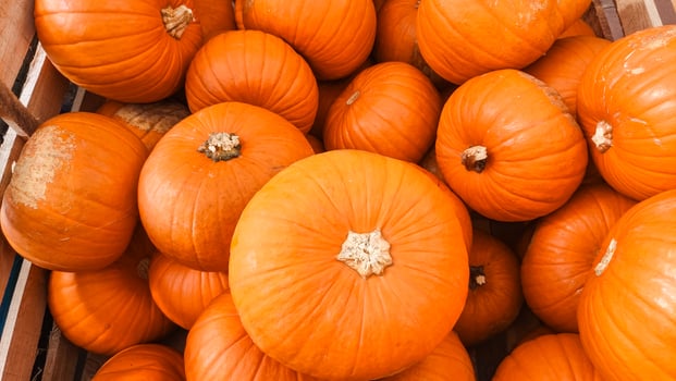 Orange pumpkins filling a wooden crate at farmers market photo